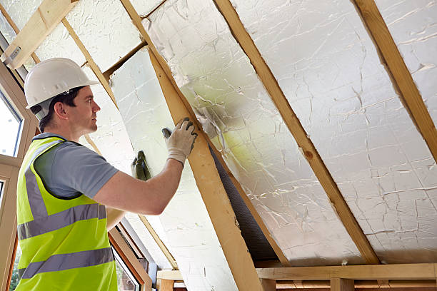Best Commercial Insulation in Anahola, HI