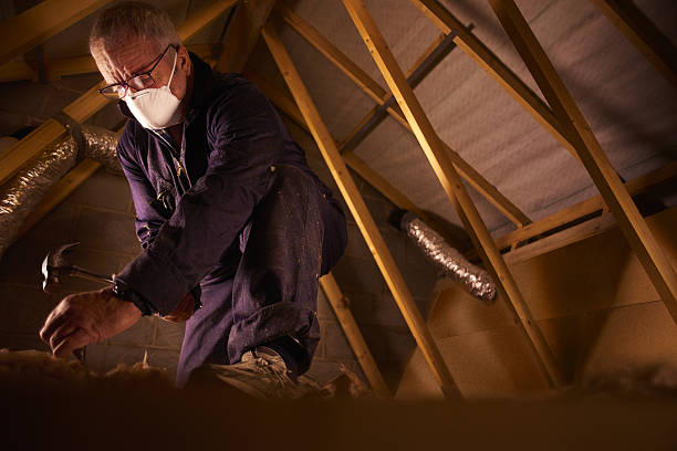 Best Types of Insulation in Anahola, HI